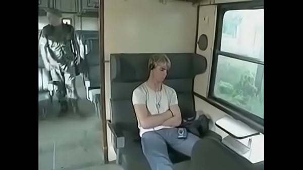 Fuck in train